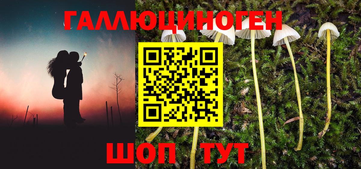 Псилоцибиновые грибы мухоморы  даркнет сайт  Протвино  Вход с VPN 
